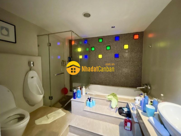 9139702_TM7Qizag2S_1719324748.jpg