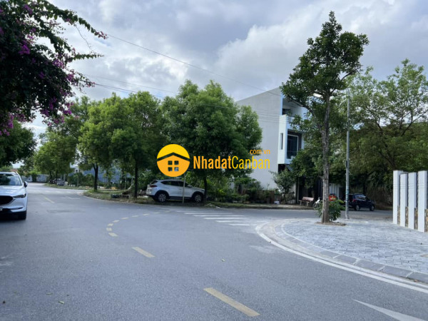 9141569_yZw5elOtXL_1720194309.jpg