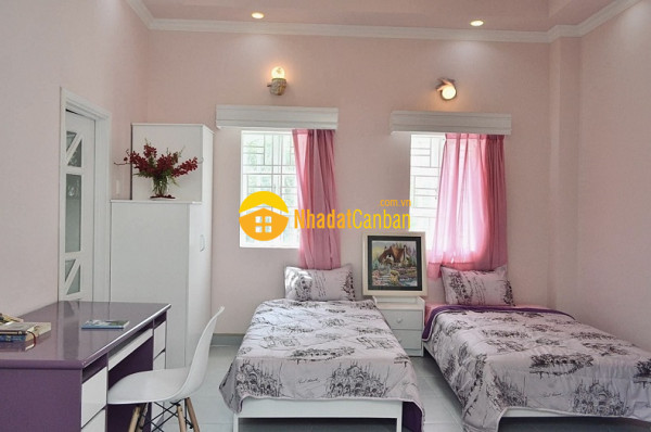 9145259_l3bIrUt8RP_1721871979.jpg