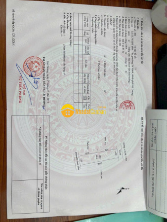 9147186_Aj6dkl9eur_1722613176.jpg