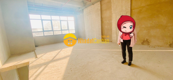 9150818_0zsdX1NiTa_1724341072.jpeg