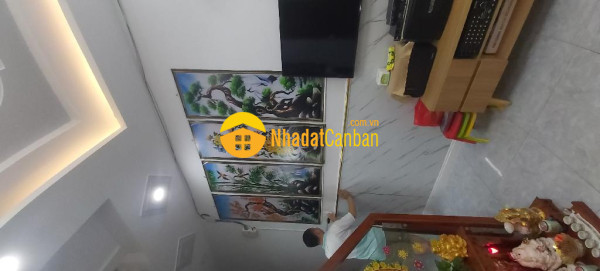 9155173_pdM86qn3yg_1726910685.jpg