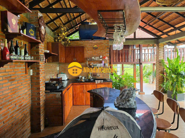 9158161_VMuw81JLN0_1728497557.jpg