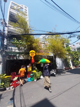 m_DCVtPJ8Fkh_1729138359.jpg