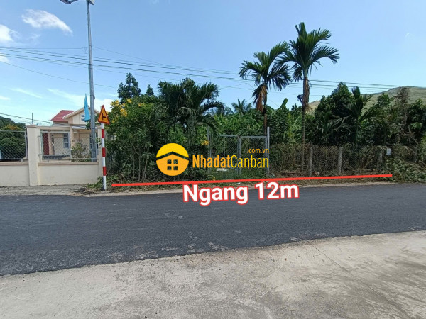 m_TtkE02NoaK_1729168454.jpg