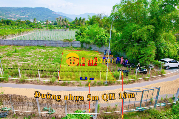 9159998_hnB8d1LisJ_1729478602.jpg