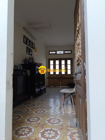 9160350_lKQUquSCn7_1729602275.jpg