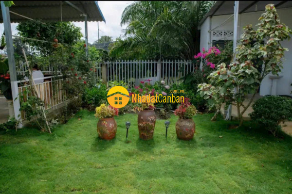 m_gq2ISVjYA9_1729650837.jpg