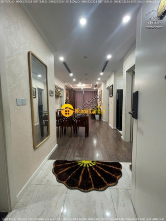 9161365_GxETnubWo8_1730102537.jpg