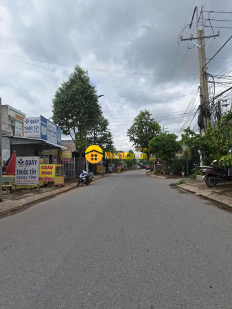 m_tH0qC38fQG_1731135825.jpg