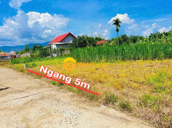 m_OEs3LxD5oS_1731469775.jpg