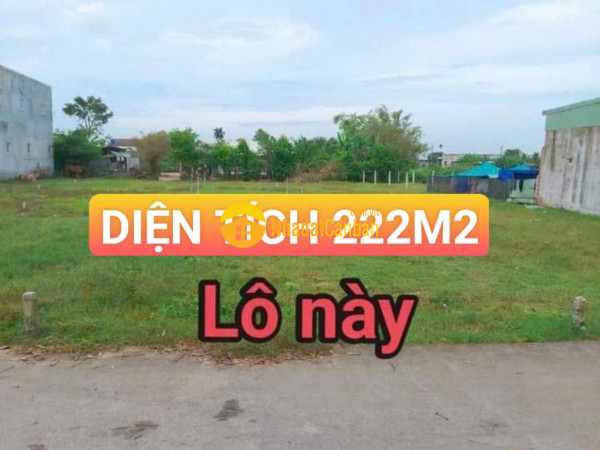 m_faYFPlhmCD_1731640110.jpg