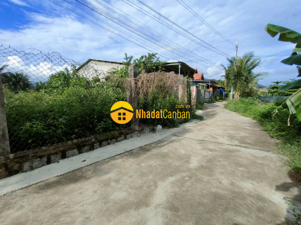 9166249_sHPmGBvD2a_1732338868.jpg