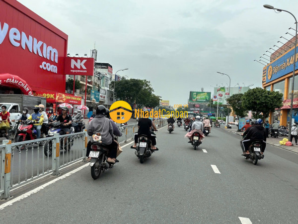 9166963_2iOzsN5Tlh_1732636769.jpg