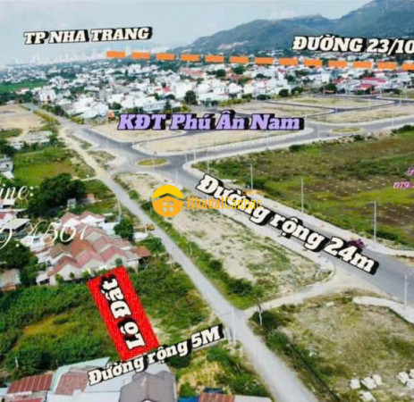 9167135_vZYkSTVoen_1732698520.jpg