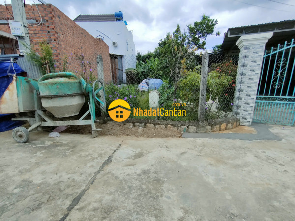 m_BV0DZhAKOE_1732753956.jpg