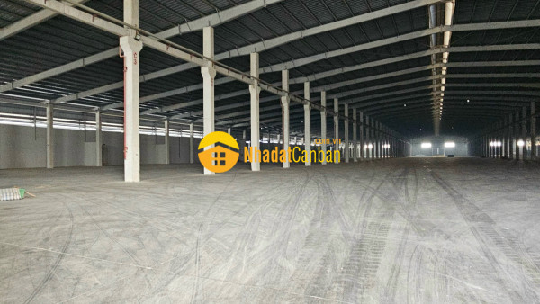 9167561_YbTEaBIRuk_1732886459.jpg