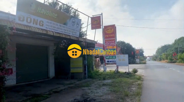 9168669_5EPHBDg97y_1733451492.jpg