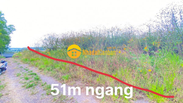 m_S39bjhXnAi_1733540604.jpg