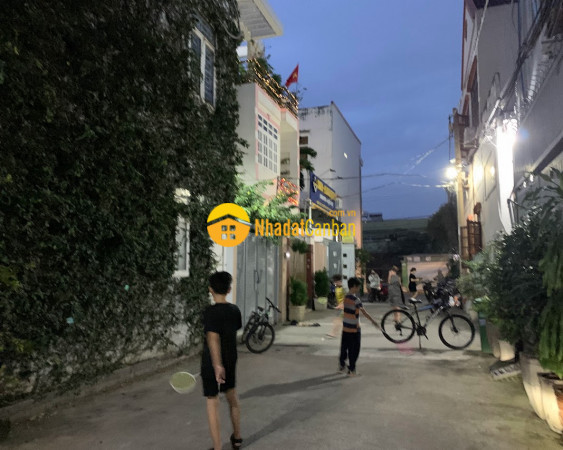 9169646_HQsY8yOLr0_1733928033.jpg