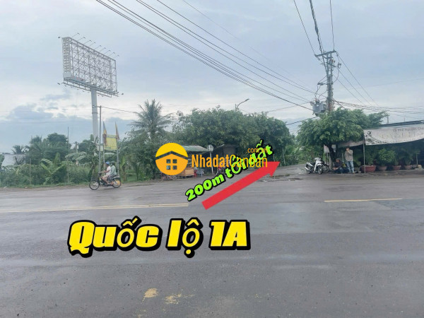9170597_OqM43JaPj6_1734422973.jpg