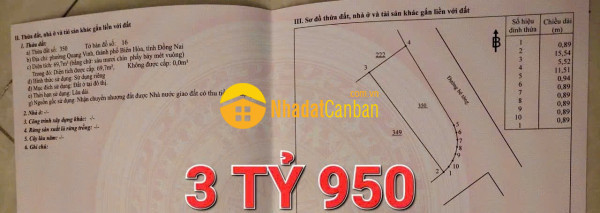 9178551_YmX8aiIken_1740178328.jpeg