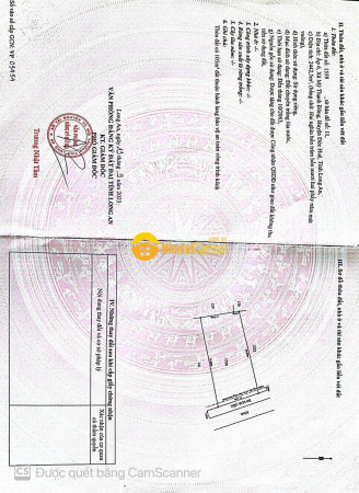 9180571_V2lO6MZePc_1741002426.jpg