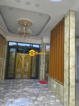 9182468_Ojqo3FLHwE_1741751433.jpg