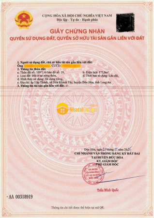 9183207_cPGoq2Rilt_1742056523.jpg