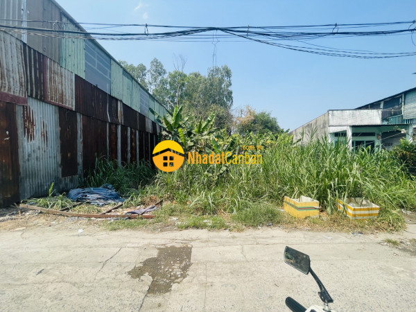 9185695_SGjzafXu3Z_1743037211.jpg