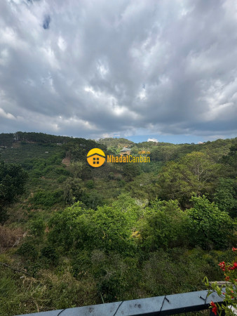 9188056_RPvIselkFa_1744181977.jpg