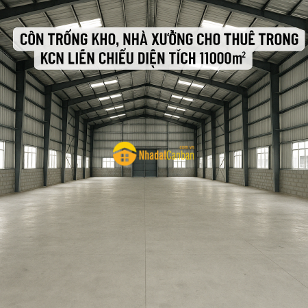 m_uafvrMqZCD_1744700157.png