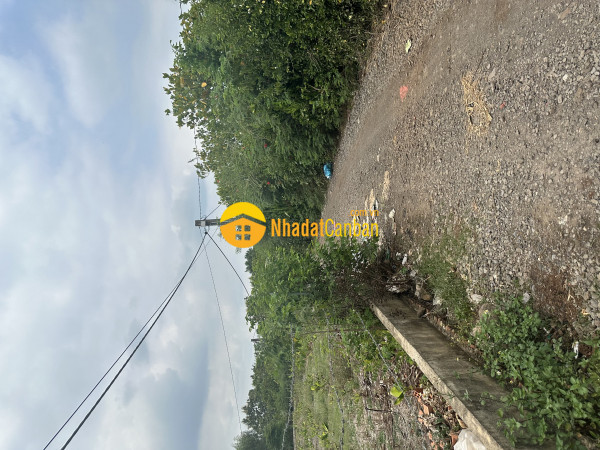 9189530_PnKhmUe8l7_1744855230.jpg