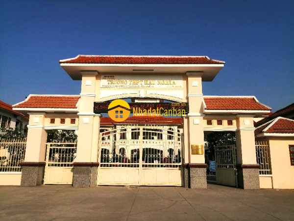 9195420_eDy2CGiWzN_1747973901.jpg