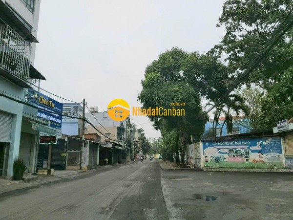 9195853_vPUbakOy7w_1748250872.jpg