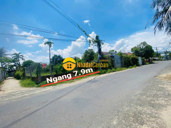 m_jQdULImfsJ_1749097461.jpg