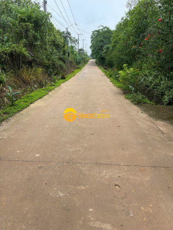 9199193_nvSZAW5X7E_1750124782.jpg