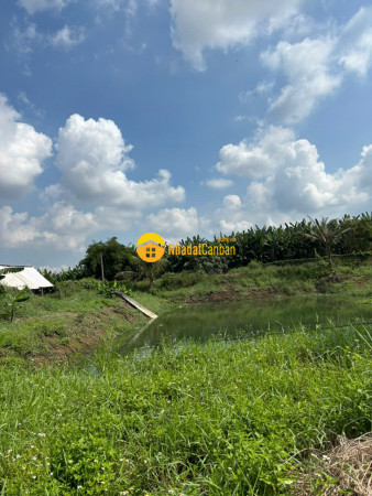 9201392_FHoNgTIJa5_1751267373.jpg