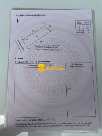 9206162_IpE6Zh4Btk_1753802024.jpg