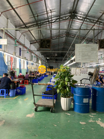 9207822_wNuYZabndh_1754713239.jpg