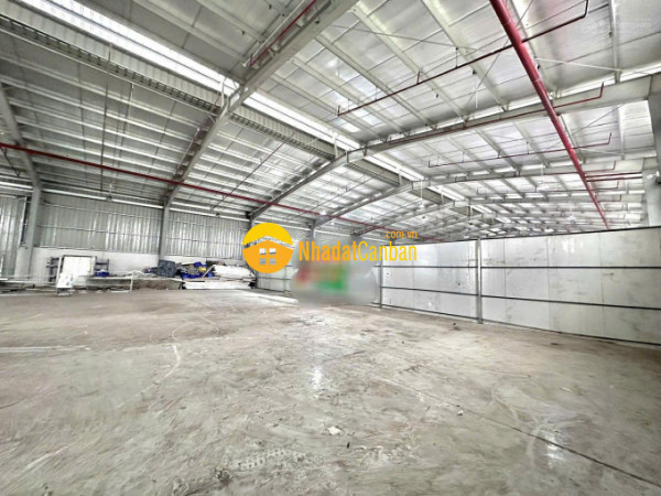 m_suJiSVyadc_1755761274.jpg