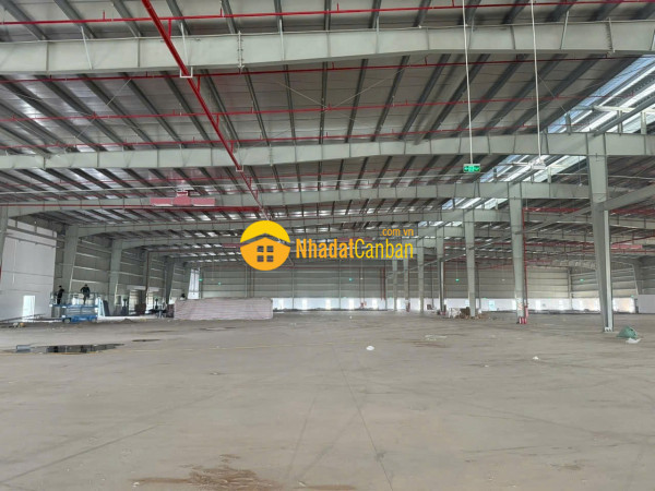 m_UBkEcp3DMw_1757329045.jpg