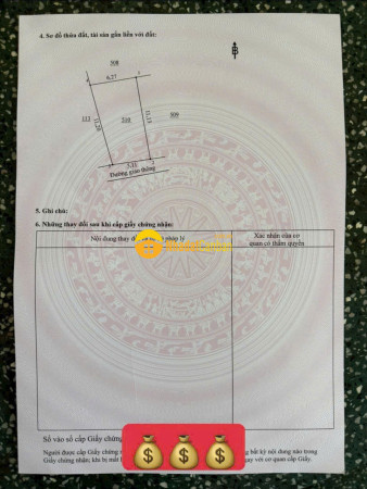 9214082_PNQagnsiSm_1759477813.jpg