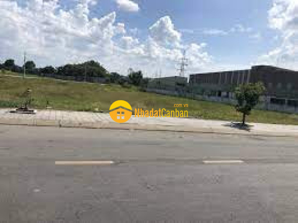 9216847_rn1IJu6jea_1761449887.jpg