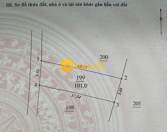 9235609_CpbUqrAdjH_1776669135.jpg