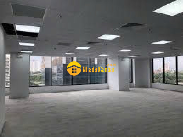 9236729_BtOSJ6LnCe_1777605295.jpg