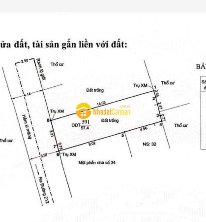 9236764_YeyaOKl0vU_1777624703.jpg