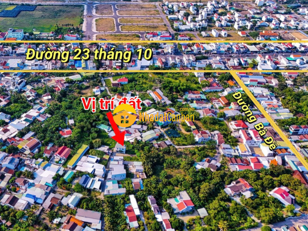 9236873_3KhPLNeuY6_1777866327.jpg