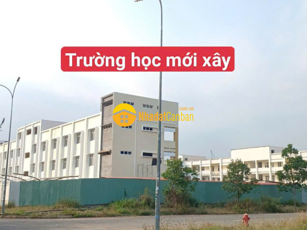 m_YS9RILCGx1_1778035106.jpg