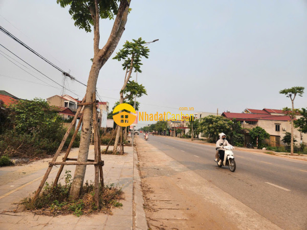 9237231_ut1O9wsABy_1778120189.jpg